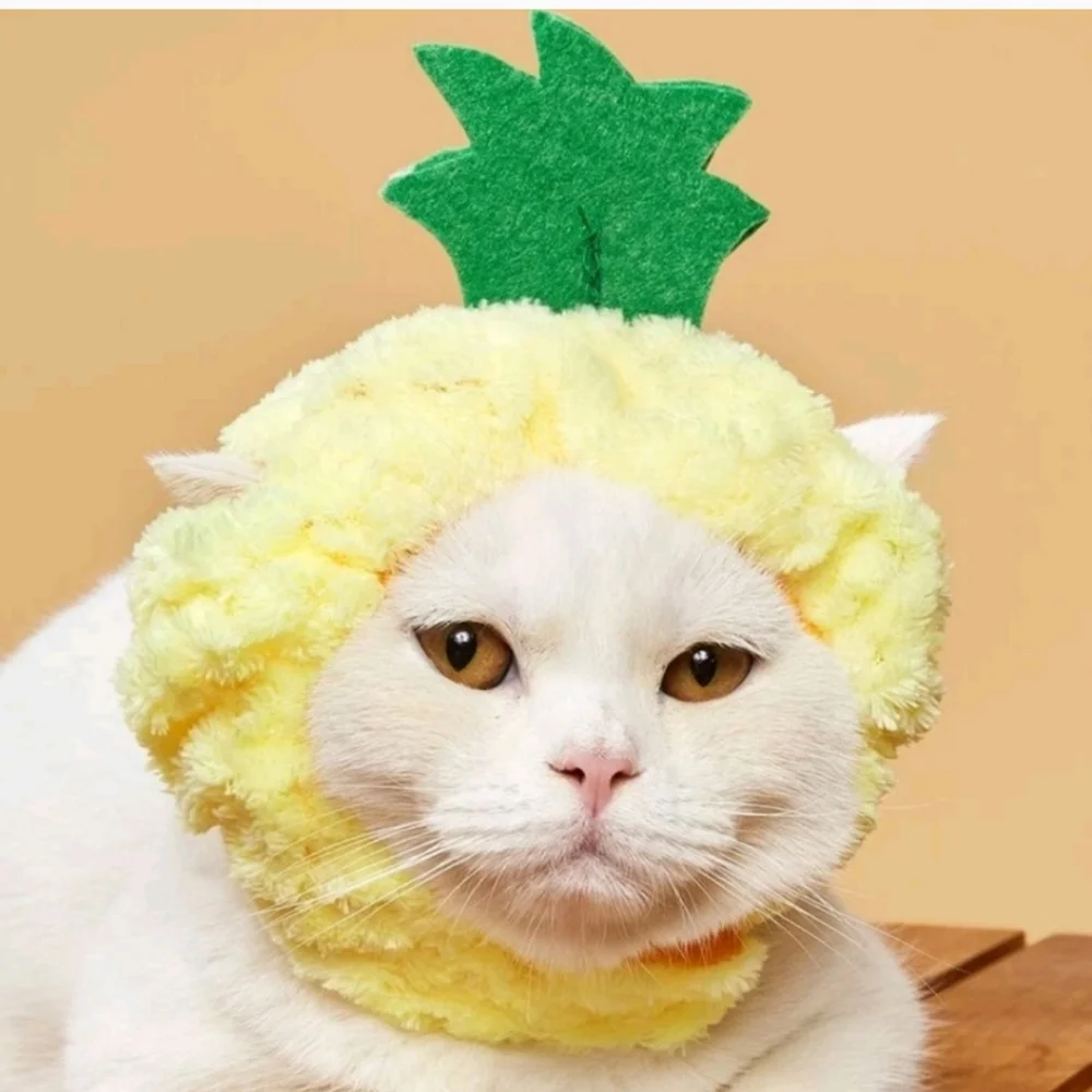 Halloween Bundle of 3 cat hats